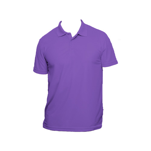 POLO BW CABALLERO MANGA CORTA - Vista 40